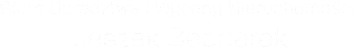 Biuro Doradztwa i Wyceny Nieruchomości Leszek Bednarek logo